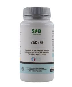 Zinc + B6, 60 gélules